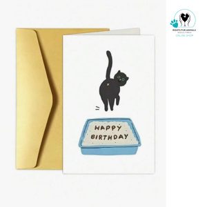 Cat Litter Box card