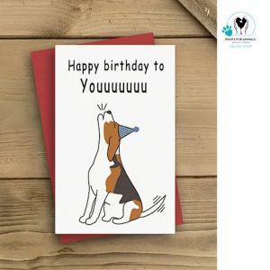 Dog birthday card for youuu